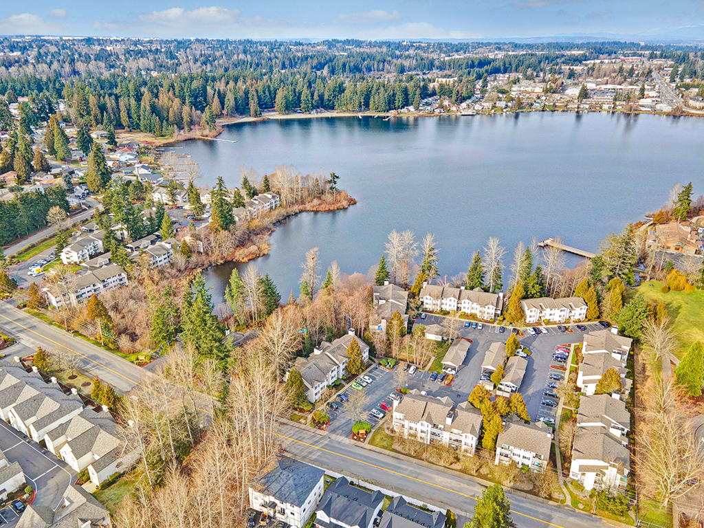 aerial shot
